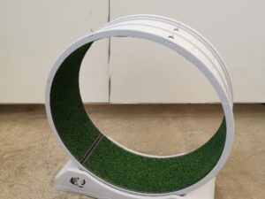 Laufrad für Katzen - robust, leise und unterhaltsam für Wohnungskatzen - 80 cm